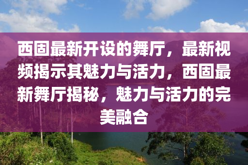 重温经典，2006年世界杯半决赛回顾