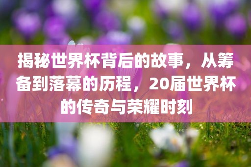 揭秘世界杯背后的故事，从筹备到落幕的历程，20届世界杯的传奇与荣耀时刻