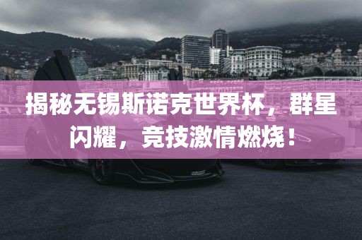 揭秘无锡斯诺克世界杯，群星闪耀，竞技激情燃烧！洪湖市顺升工程机械租赁有限公司