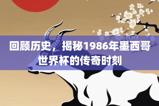 回顾历史，揭秘1986年墨西哥世界杯的传奇时刻洪湖市顺升工程机械租赁有限公司