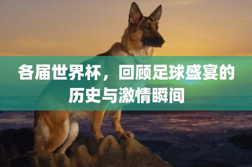 各届世界杯，回顾足球盛宴的历史与激情瞬间洪湖市顺升工程机械租赁有限公司