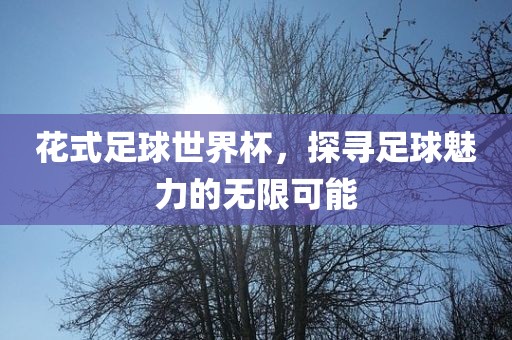 花式足球世界杯，探寻足球魅力的无限可能洪湖市顺升工程机械租赁有限公司