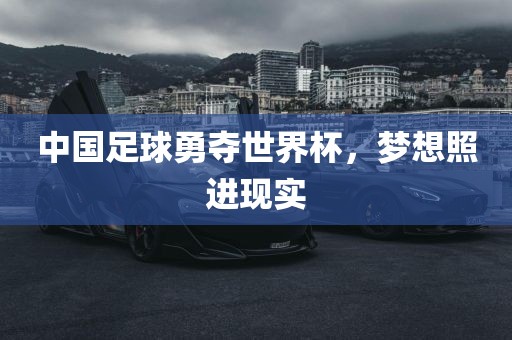 中国足球洪湖市顺升工程机械租赁有限公司勇夺世界杯，梦想照进现实