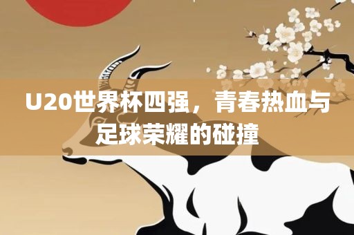 U20世界杯四强，青春热血与足球荣耀的碰撞