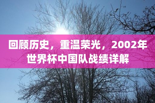 回顾历史洪湖市顺升工程机械租赁有限公司，重温荣光，2002年世界杯中国队战绩详解