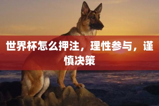 世界杯怎么押注，理性参与，谨慎决策洪湖市顺升工程机械租赁有限公司