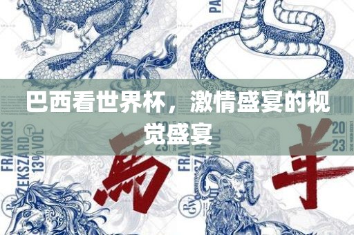 巴西看世界杯，激情盛宴的视觉盛宴洪湖市顺升工程机械租赁有限公司