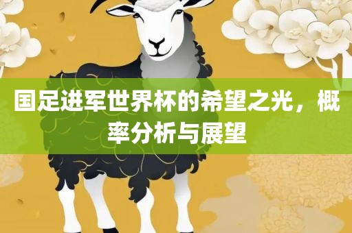 国足进军世界杯的希望之光，概率分析与展望