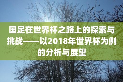 国足在世界杯之路上的探索与挑战——以2018年世界杯为例的分析与展望