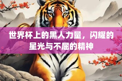 世界杯上的黑人力量，闪耀的星光与不屈的精神洪湖市顺升工程机械租赁有限公司