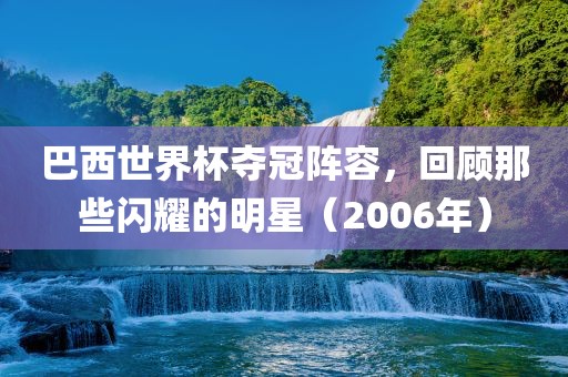 巴西世界杯夺冠阵容，回顾洪湖市顺升工程机械租赁有限公司那些闪耀的明星（2006年）
