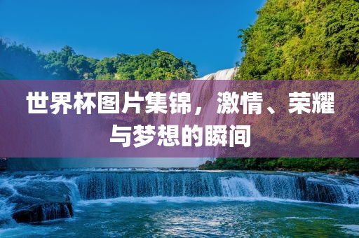 世界杯图片集锦洪湖市顺升工程机械租赁有限公司，激情、荣耀与梦想的瞬间