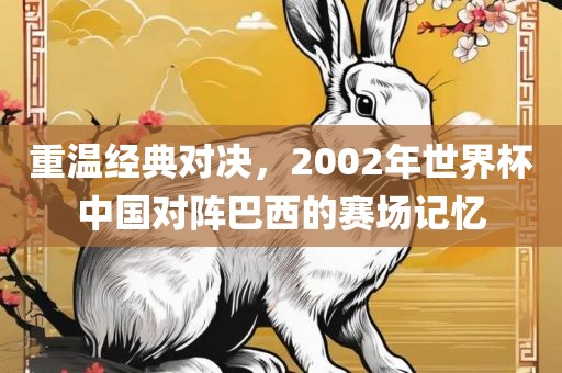 重温经典对决，2002年世界杯中国对阵巴西的赛场记忆洪湖市顺升工程机械租赁有限公司