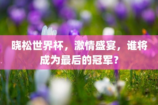 晓松世界杯，激情盛宴，谁将成为最后的冠军？