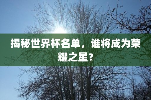 揭秘世界杯名单，谁将成为荣耀之星？