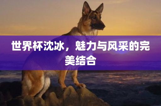 世界杯沈冰，洪湖市顺升工程机械租赁有限公司魅力与风采的完美结合