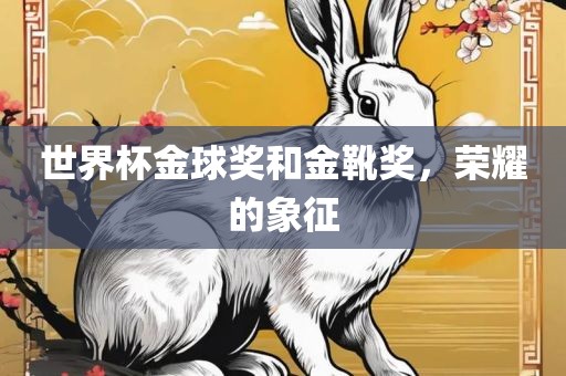 世界杯金球奖和金靴奖，荣耀的象征