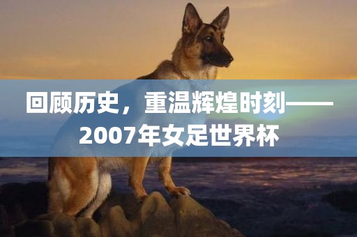 回顾历史，重温辉煌时刻——2007年女足世界杯洪湖市顺升工程机械租赁有限公司