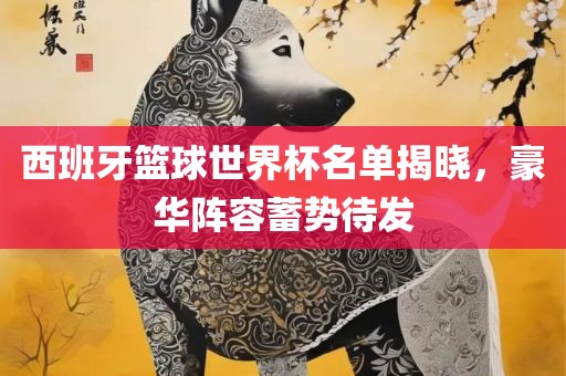 西班牙篮球世界杯名单揭晓，豪华阵容蓄势待发