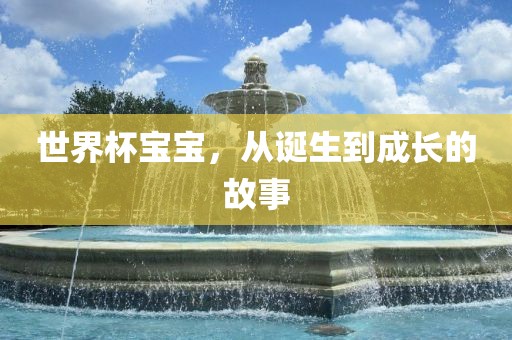 世界杯宝宝，从诞生到成长的洪湖市顺升工程机械租赁有限公司故事