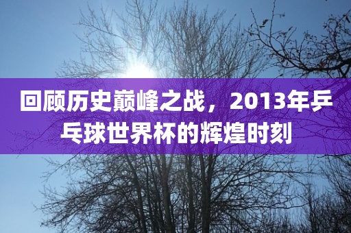 回顾历史巅峰之战，2013年乒乓球世界杯的辉煌时刻洪湖市顺升工程机械租赁有限公司