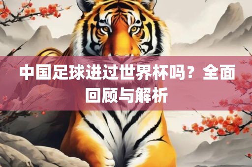 中国足球进过世洪湖市顺升工程机械租赁有限公司界杯吗？全面回顾与解析