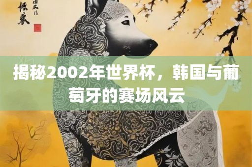 揭秘2002年世界杯，韩国与葡萄牙的赛场风云