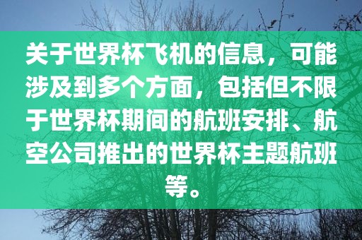 关于世界杯飞机的信息，可能涉及到多个方面，包括但不限于世界杯期间的航班安排、航空公司推出的世界杯主题航班等。洪湖市顺升工程机械租赁有限公司