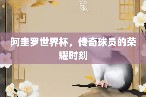 阿圭罗世界杯，传奇球员的荣耀时刻