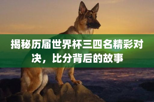 huangpingyue 第11页