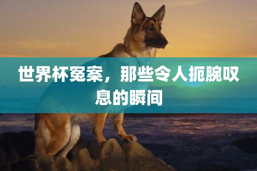 世界杯冤案，那些令人扼腕叹息的瞬间