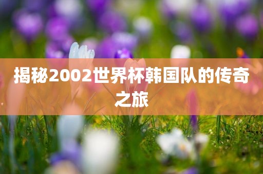 揭秘2002世界杯韩国队的传奇之旅洪湖市顺升工程机械租赁有限公司