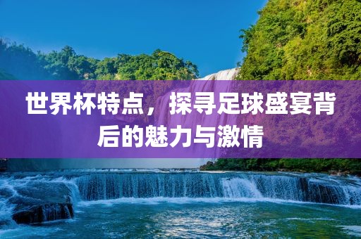 世界杯特点，探寻足球盛宴背后的魅力与激情洪湖市顺升工程机械租赁有限公司
