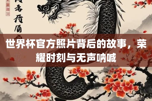 世界杯官方照片背后的故事，荣耀时刻与无声呐喊