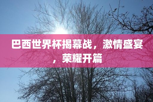 巴西世界杯揭幕战，激情盛宴，荣耀开篇洪湖市顺升工程机械租赁有限公司