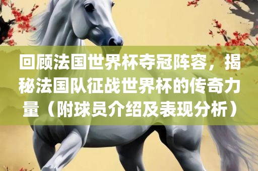 回顾法国世界杯夺冠阵容，揭秘法国队征战世界杯的传奇力量（附球员介绍及表现分析）洪湖市顺升工程机械租赁有限公司