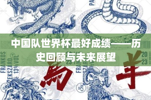 中国队世界杯最好成绩——历史回顾与未来展望
