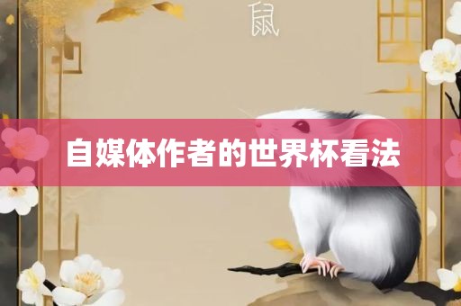 自媒体作者的世界杯看法洪湖市顺升工程机械租赁有限公司