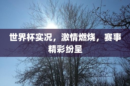 世界杯实况，激情燃烧，赛事精彩纷呈