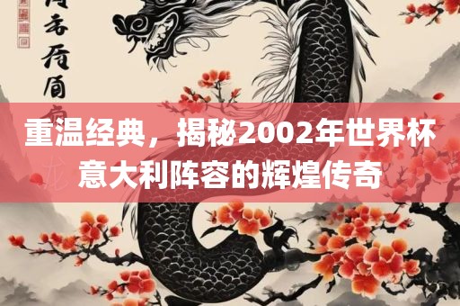 重温经典，揭秘2002年世界杯意大利阵容的辉煌传奇洪湖市顺升工程机械租赁有限公司