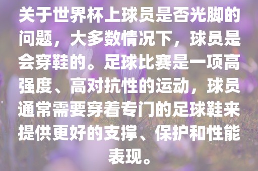 关于世界杯上球员是否光脚的问题，大多数情况下，球员是会穿鞋的。足球比赛是一项高强度、高对抗性的运动，球员通常需要穿着专门的足球鞋来提供更好的支撑、保护和性能表现。洪湖市顺升工程机械租赁有限公司