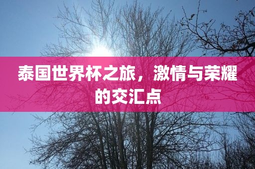 泰国世界杯之旅，激情与荣耀的洪湖市顺升工程机械租赁有限公司交汇点