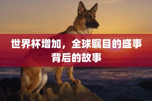 世界杯增加，全球瞩目的盛事背后的故事洪湖市顺升工程机械租赁有限公司