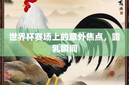 世界杯赛场上的意外焦点，露乳瞬间洪湖市顺升工程机械租赁有限公司