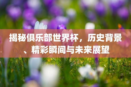 揭秘俱乐部世界杯，历史背景、精彩瞬间与未来展望