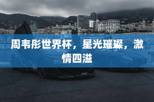 周韦彤世界杯，星光璀璨，激情四溢洪湖市顺升工程机械租赁有限公司