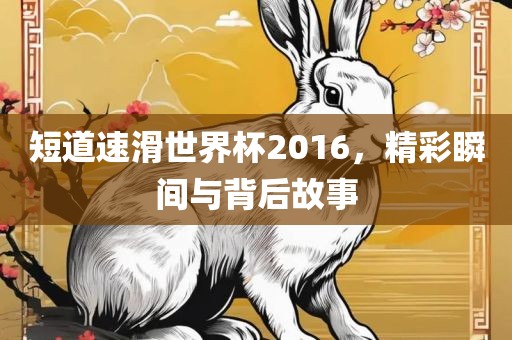 短道速滑世界杯2洪湖市顺升工程机械租赁有限公司016，精彩瞬间与背后故事