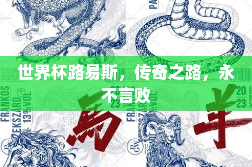 世界洪湖市顺升工程机械租赁有限公司杯路易斯，传奇之路，永不言败