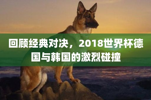 回顾经典对决，2018世界杯德国与韩国的激烈碰撞洪湖市顺升工程机械租赁有限公司
