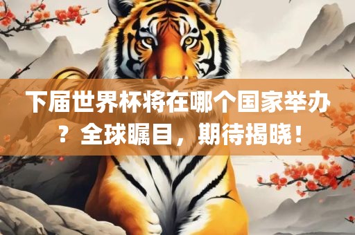 下届世界杯将在哪个国家举办？全球瞩目，期待揭晓！